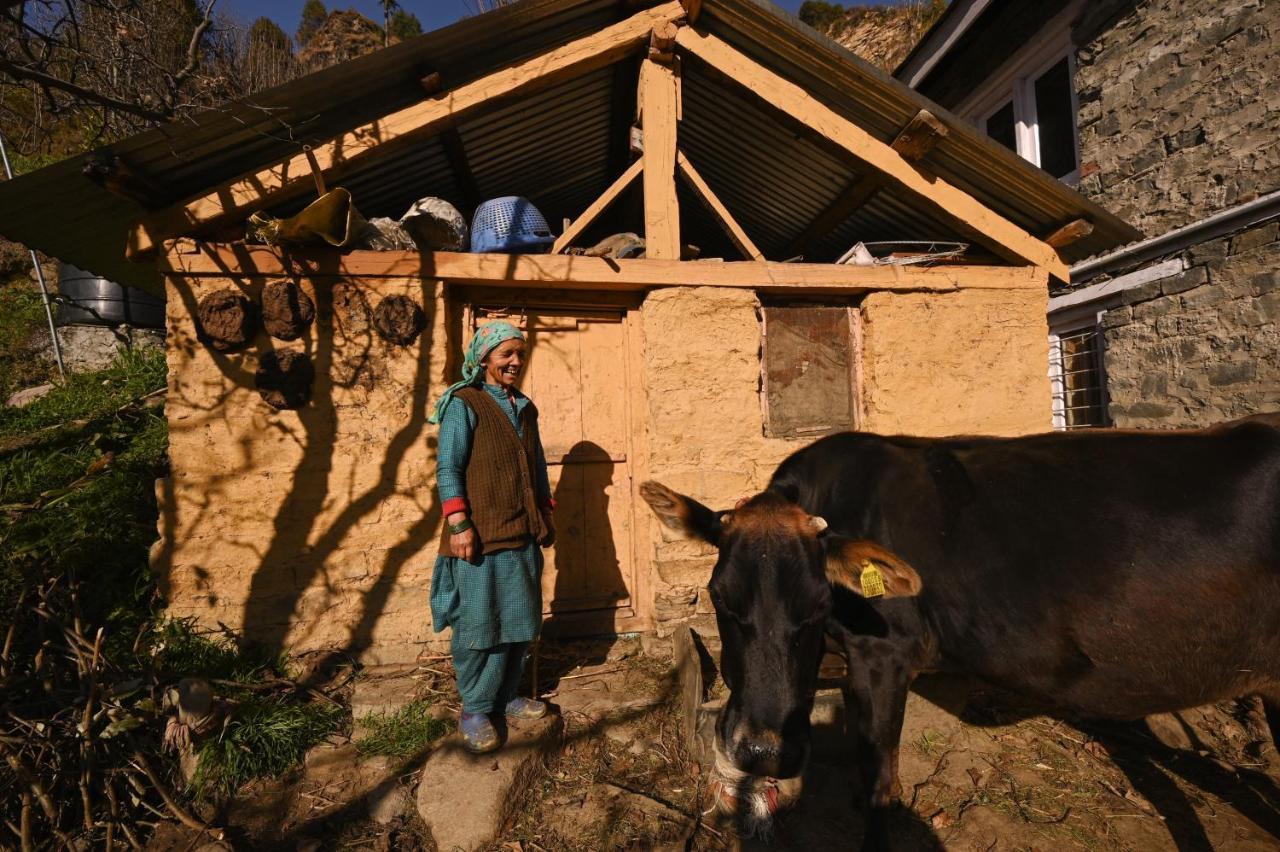 Zostel Dobhi, Manali Hostel Nagar  Εξωτερικό φωτογραφία