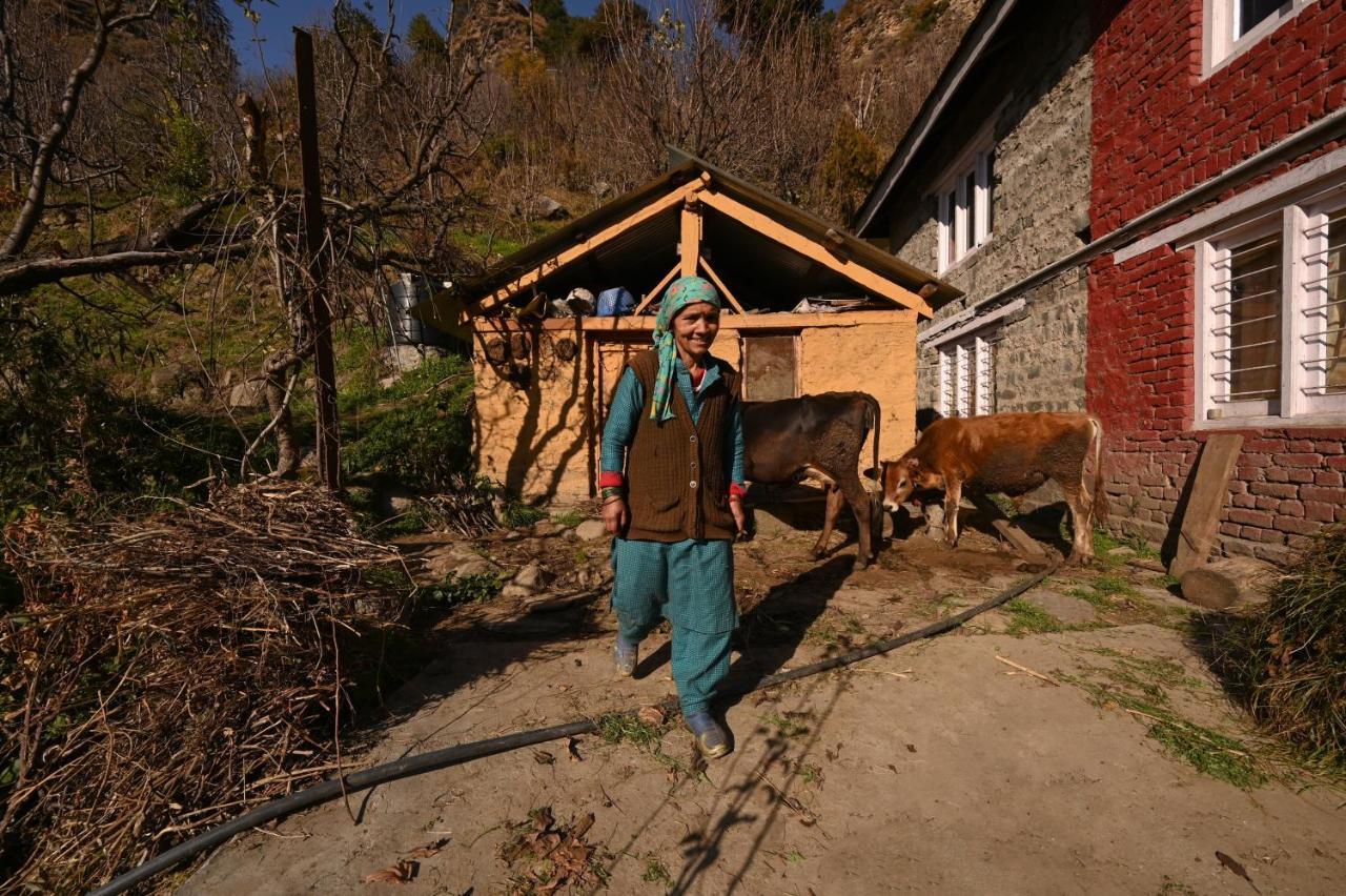 Zostel Dobhi, Manali Hostel Nagar  Εξωτερικό φωτογραφία