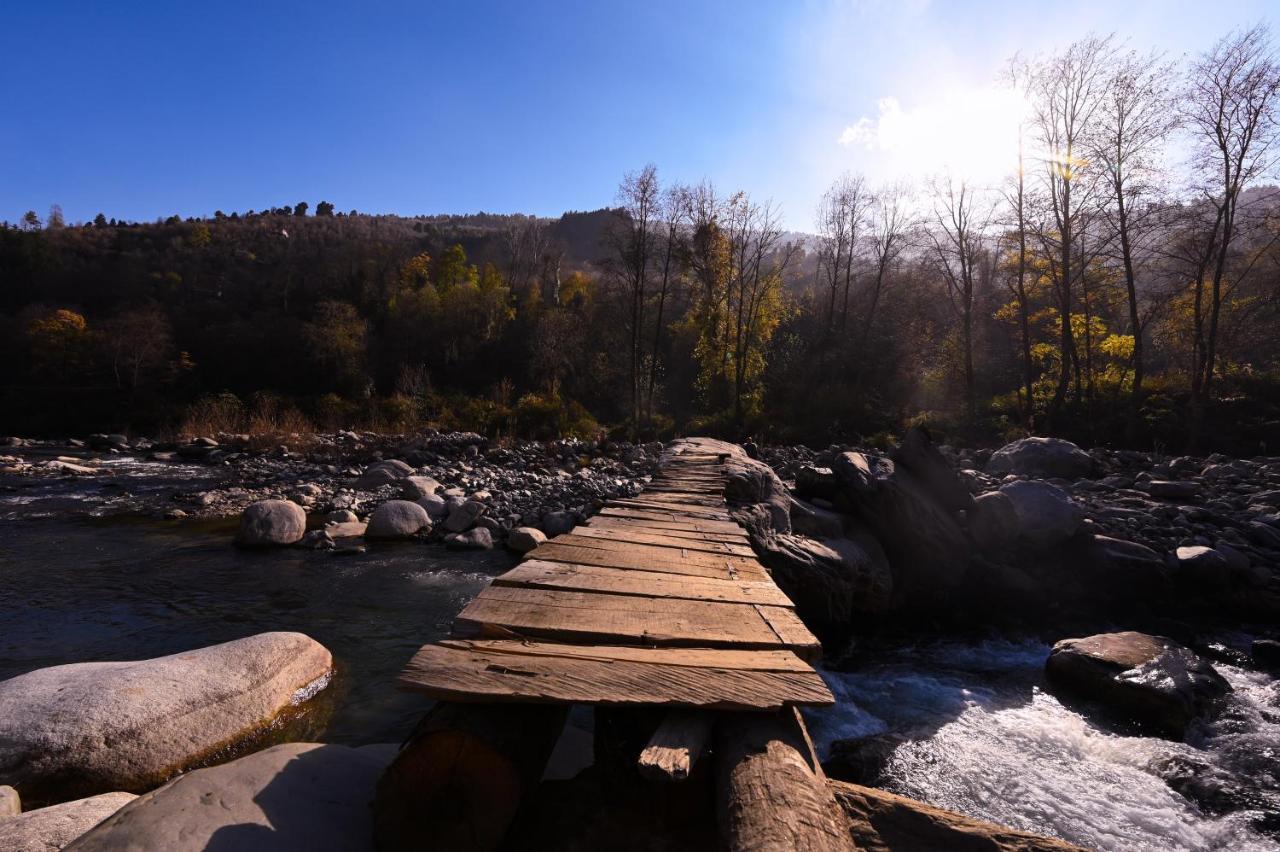 Zostel Dobhi, Manali Hostel Nagar  Εξωτερικό φωτογραφία