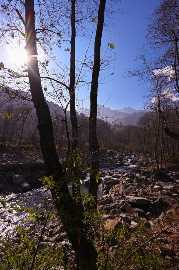Zostel Dobhi, Manali Hostel Nagar  Εξωτερικό φωτογραφία